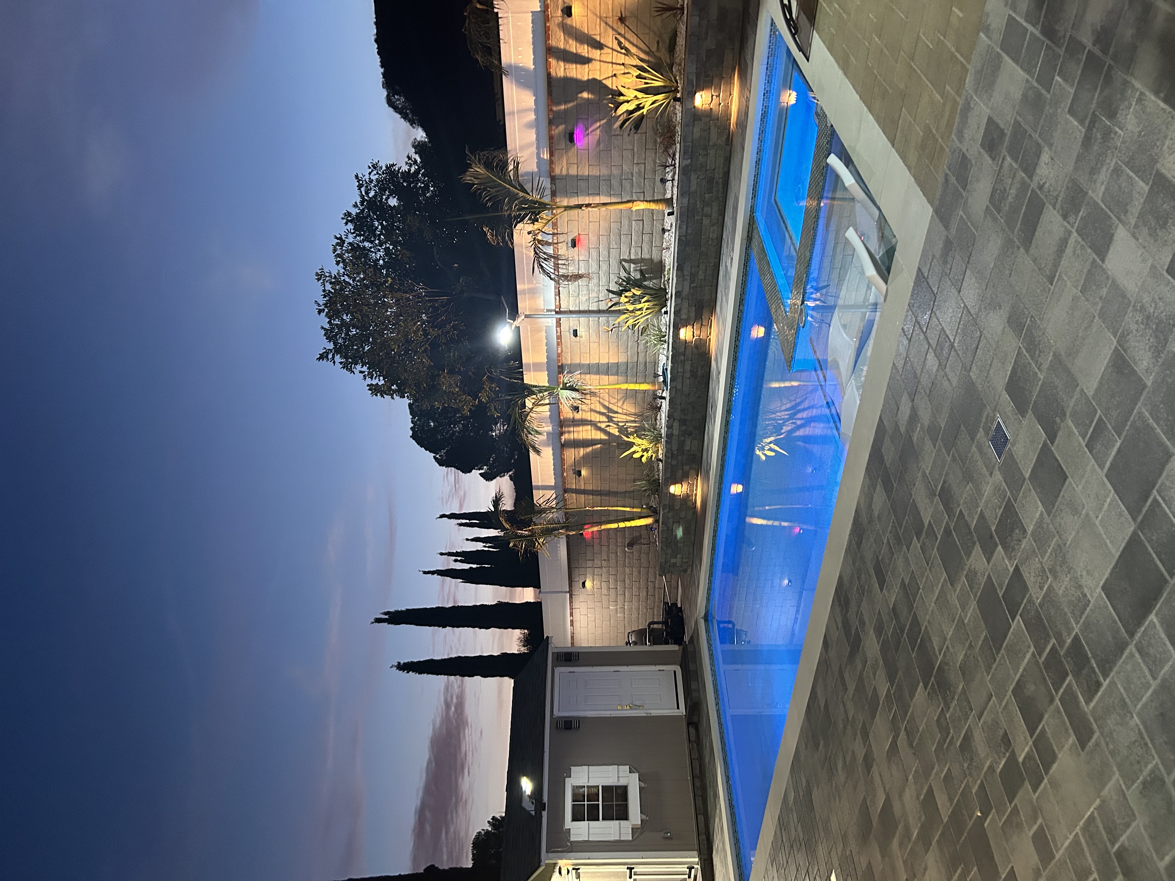 Pool area with palm uplighting at twilight