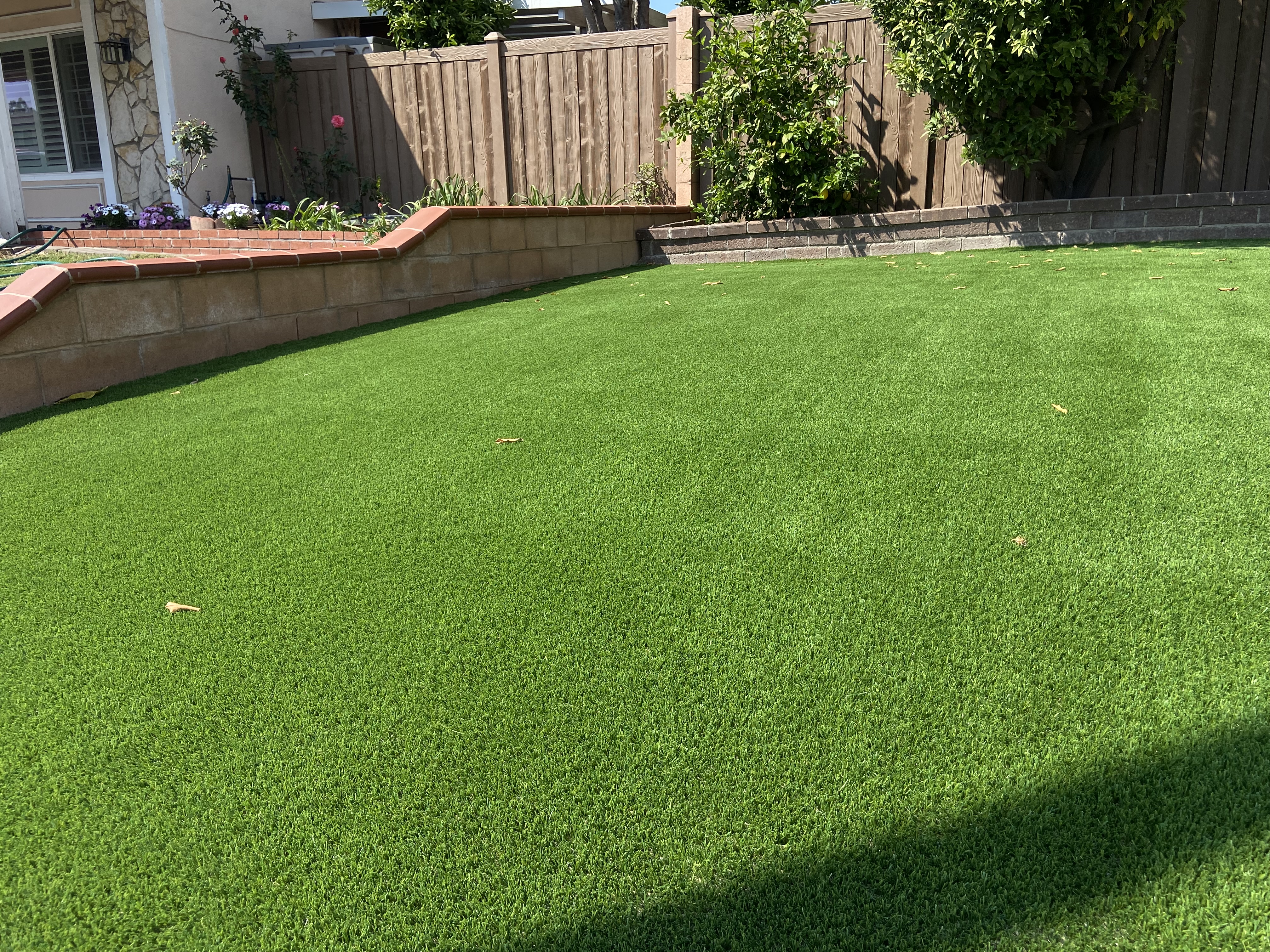 Residential turf project